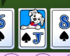 101 dalmaatsia koera kaardimäng