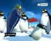 Tanzende Pinguine