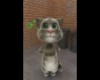 Talking Tom cat : lmfao i'm sexy and i know it !