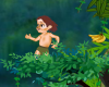 Poiss džunglis