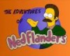 Everyone Hates Ned Flanders