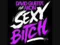 David Guetta ft. Akon - Sexy Bitch