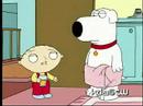 Perepea - Stewie annab Brianile tappa