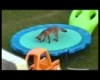 ★ Funny Video - America's Funniest Home Videos Trampolines Montage part 415