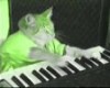 Keyboard Cat (Revenge Remix)