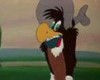 Woody Woodpecker-Wild and woody