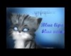 Blue Lips: Warrior cats