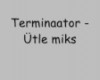 Terminaator - Ütle miks (lyrics)
