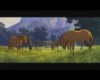 Thowra - Stallion of Cimarron [HD]