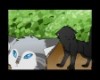 Hollyleaf - Desperate