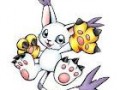 gatomon