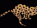 gepard